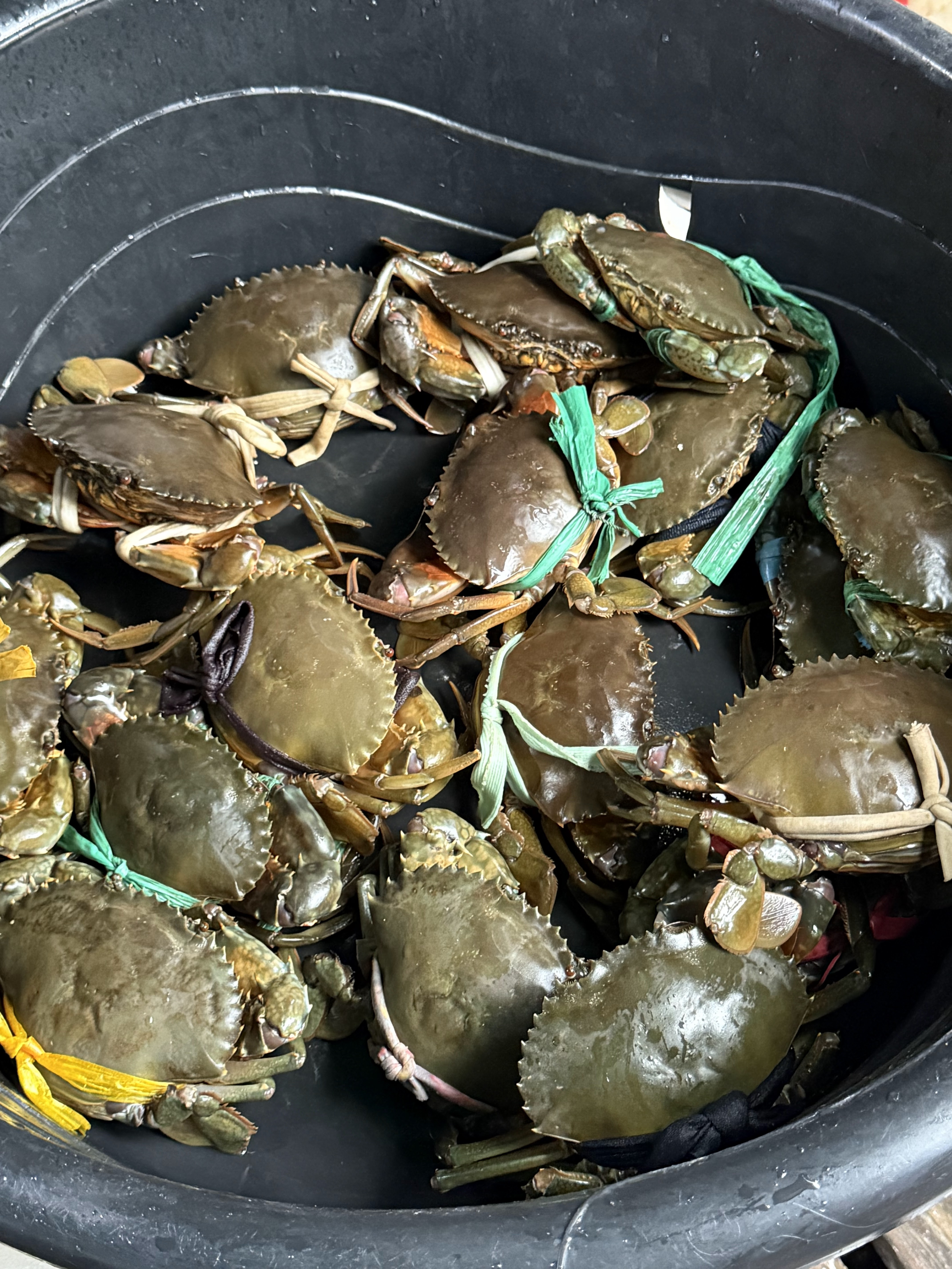 Fresh crab on ice at Kep Crab Market